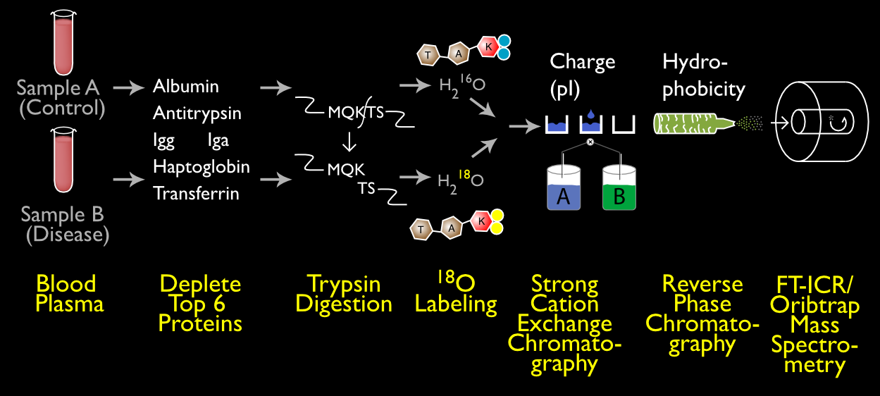 Experimental Overview Reduced2